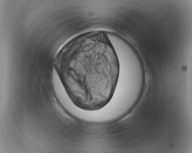 X0000112741369200910011211