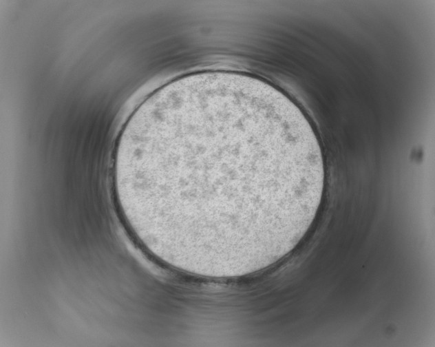 X0000112741379200910011211