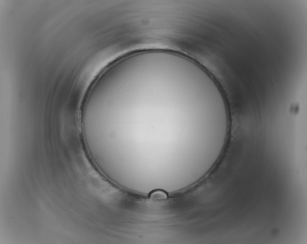 X0000112741380200910011211