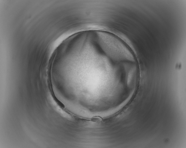 X0000112741381200910011211