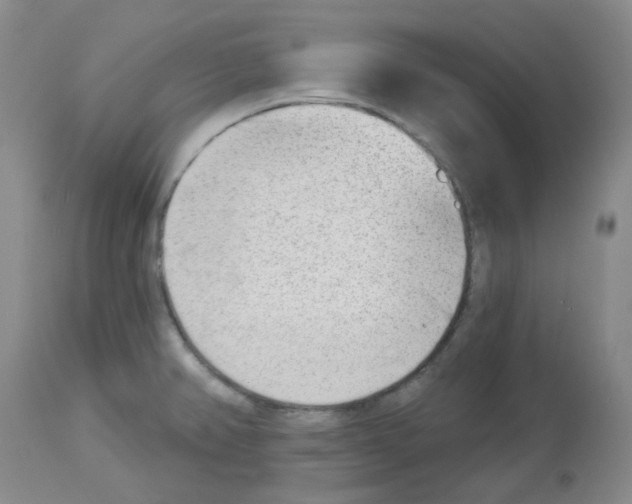 X0000112741382200910011211