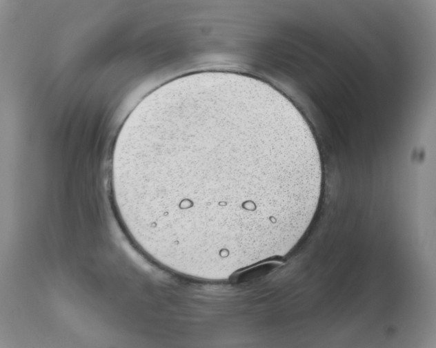 X0000112741383200910011211