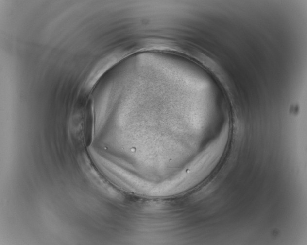 X0000112741385200910011210