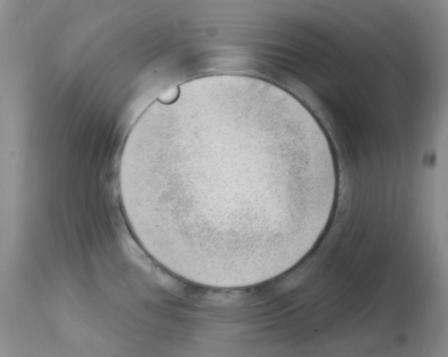 X0000112741386200910011210