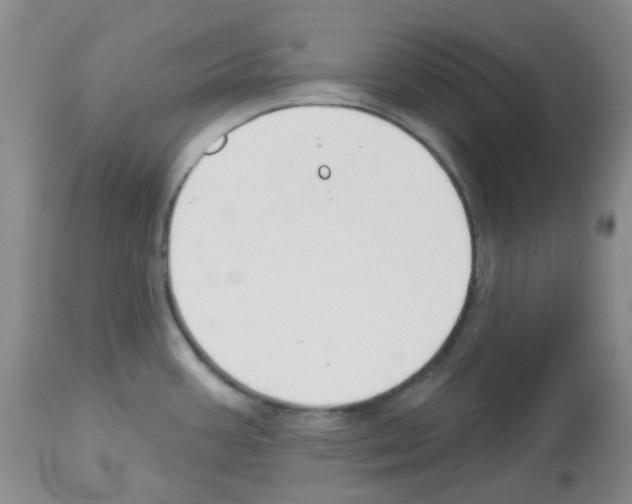 X0000112741387200910011210