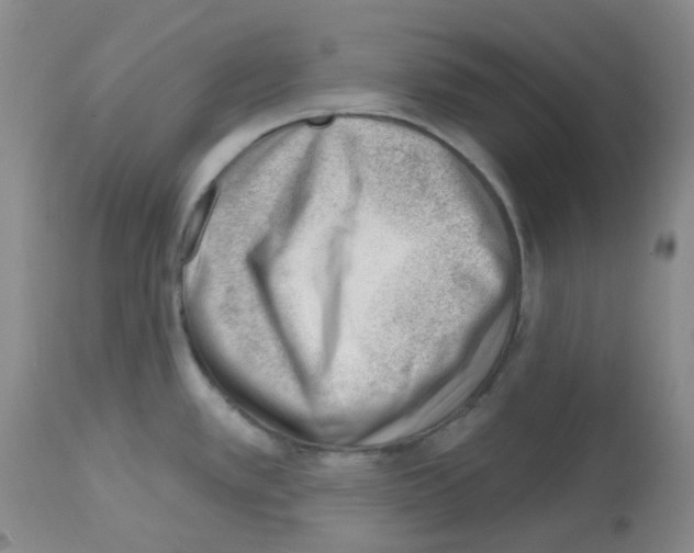 X0000112741389200910011210