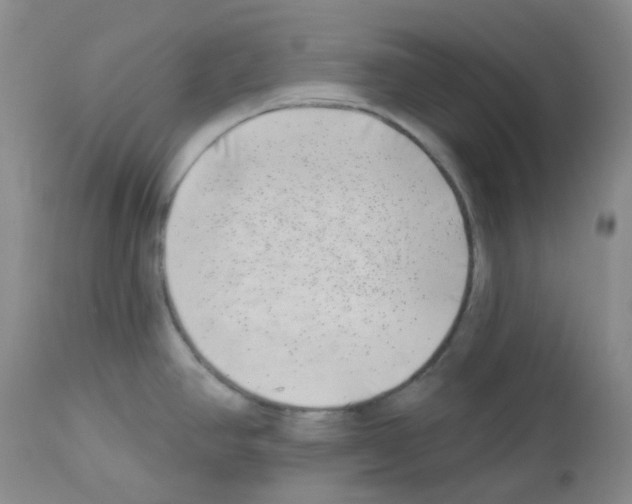 X0000112741390200910011210