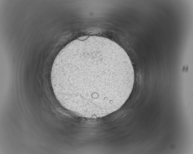 X0000112741393200910011210