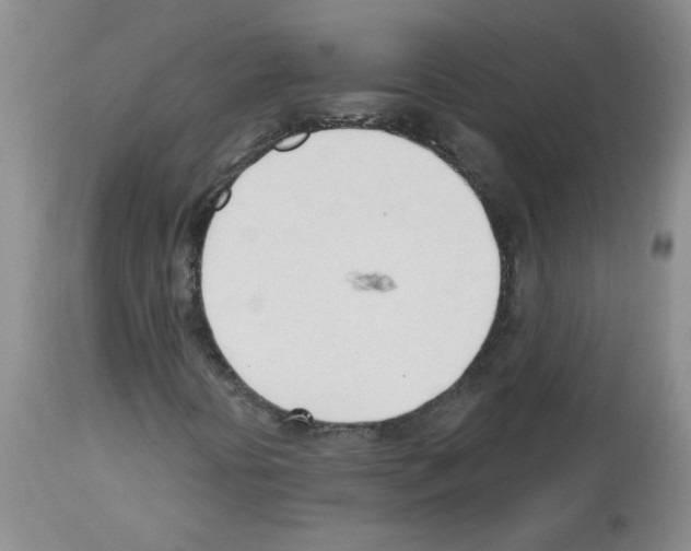 X0000112741394200910011210