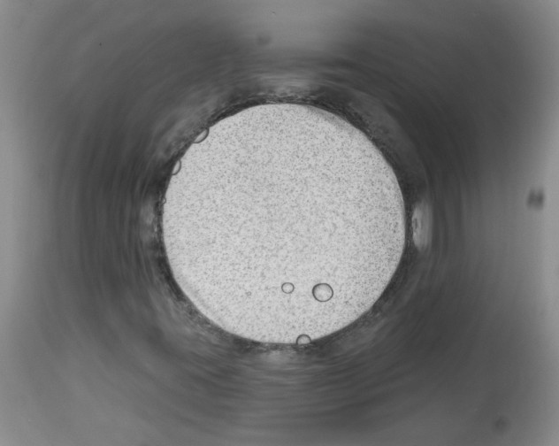 X0000112741395200910011210