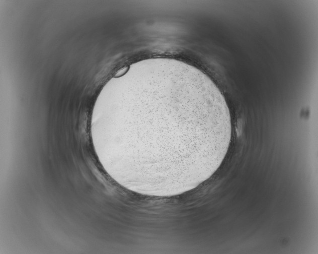 X0000112741396200910011210