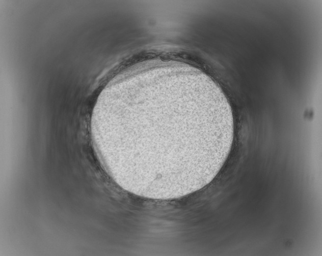 X0000112741397200910011210