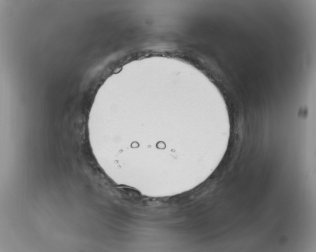 X0000112741398200910011210