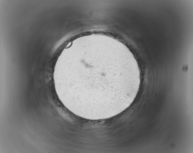 X0000112741400200910011210