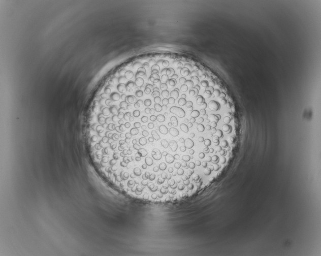 X0000112741404200910011210