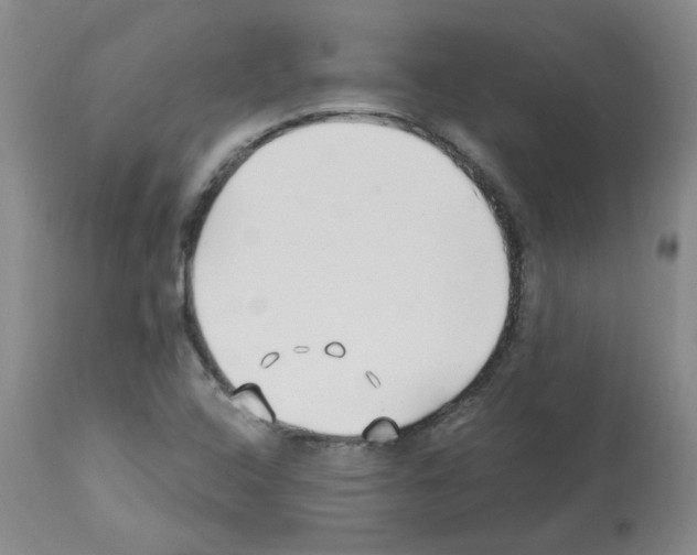 X0000112741408200910011210