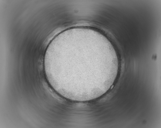 X0000112741409200910011210