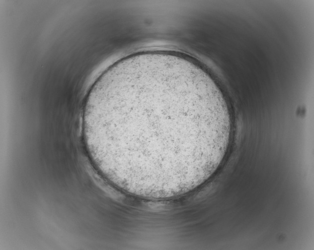 X0000112741413200910011210