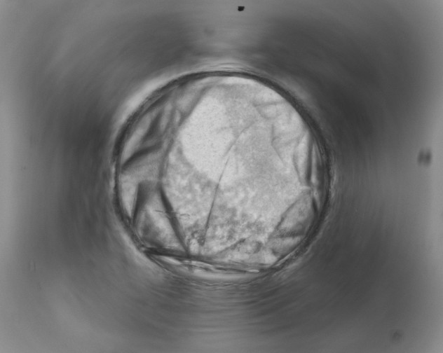 X0000112741414200910011210