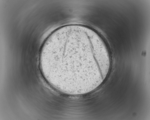 X0000112741415200910011210