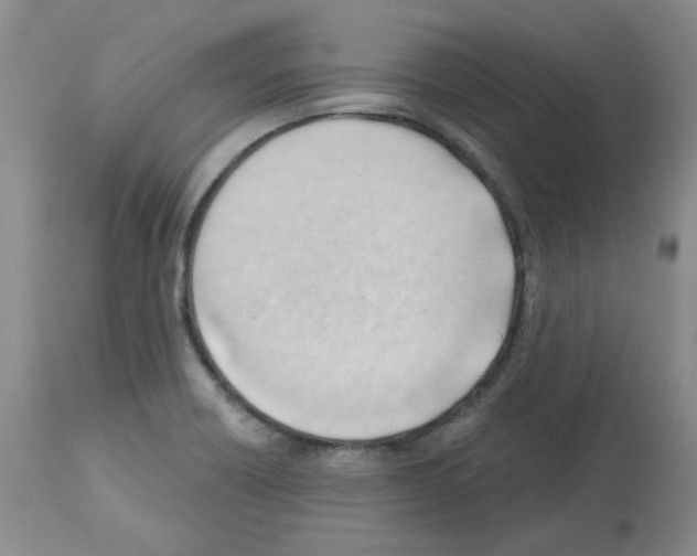 X0000112741418200910011210