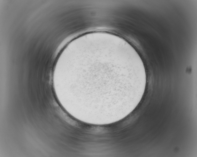 X0000112741420200910011210