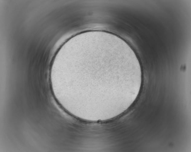 X0000112741424200910011210