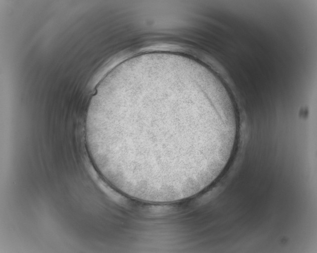 X0000112741425200910011210