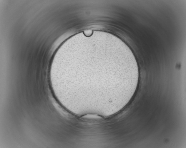 X0000112741426200910011210