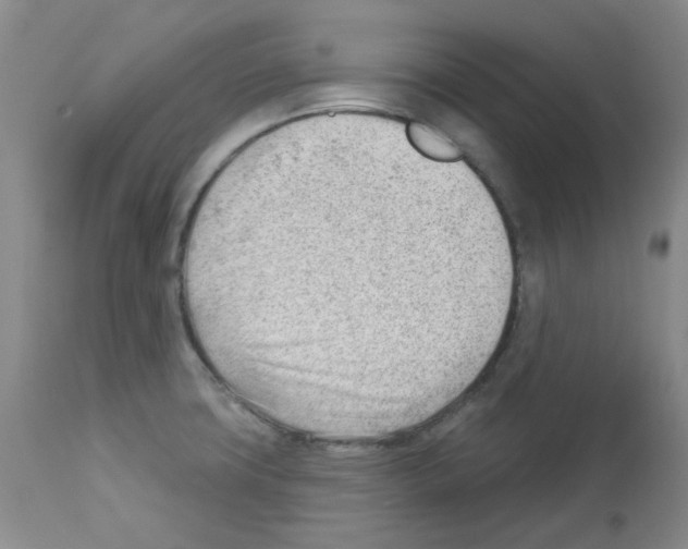 X0000112741427200910011210