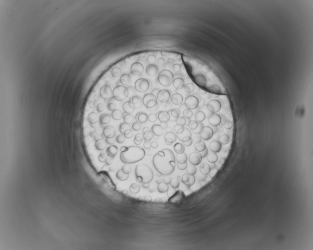 X0000112741432200910011210