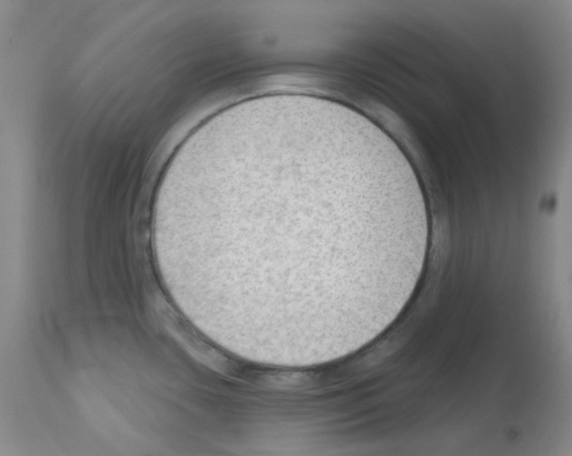 X0000112741435200910011210