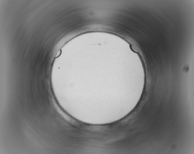 X0000112741437200910011210