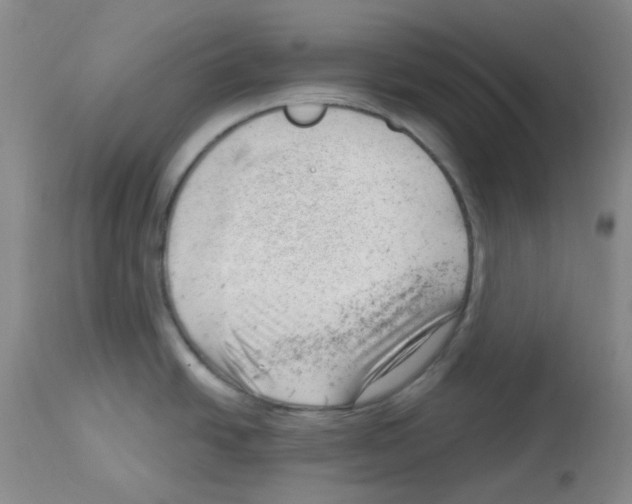 X0000112741438200910011210