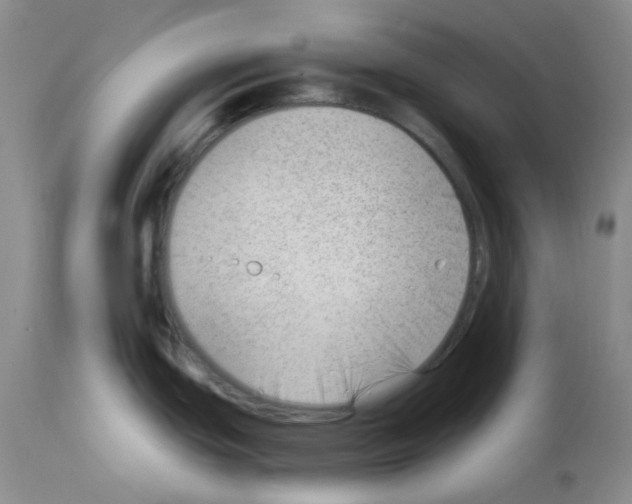 X0000112741439200910011210