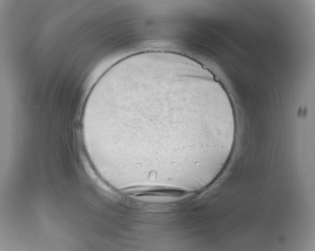 X0000112741440200910011210