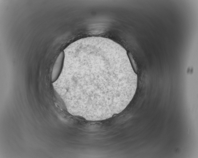 X0000112741441200910011210