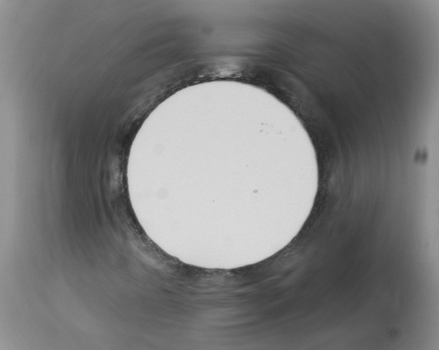 X0000112741442200910011210