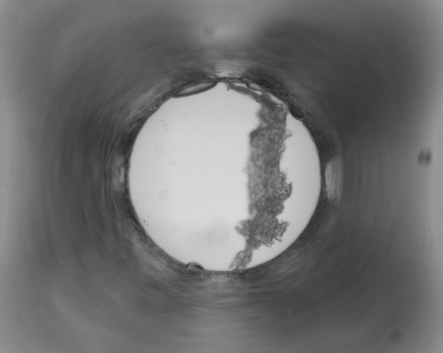 X0000112741443200910011210