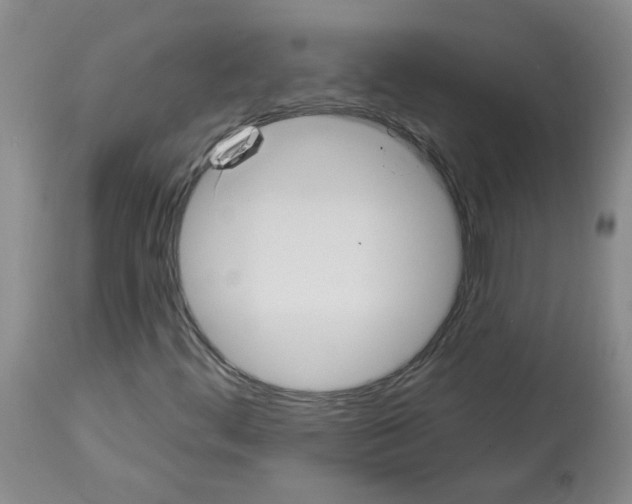 X0000112741444200910011210