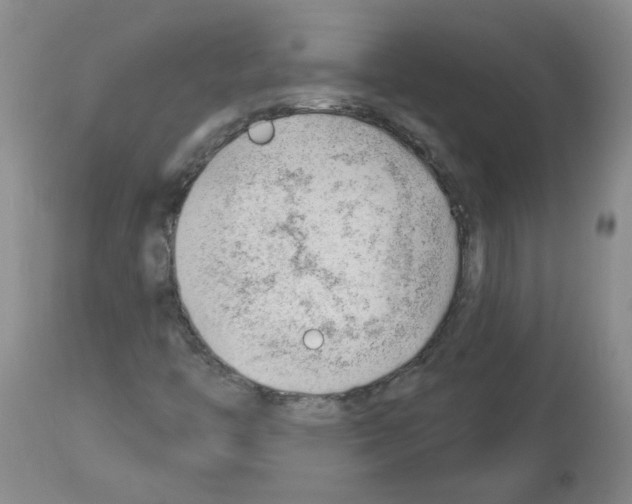 X0000112741446200910011210