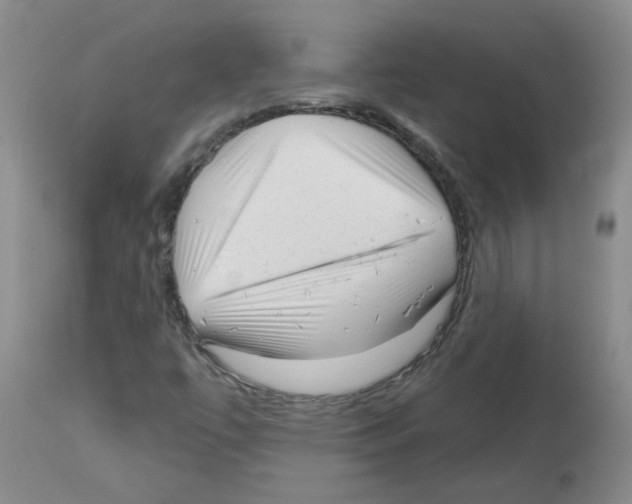 X0000112741447200910011210