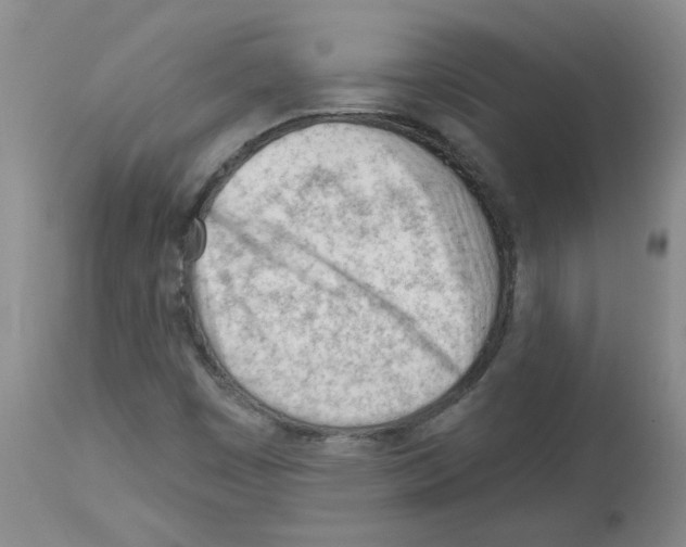 X0000112741449200910011210