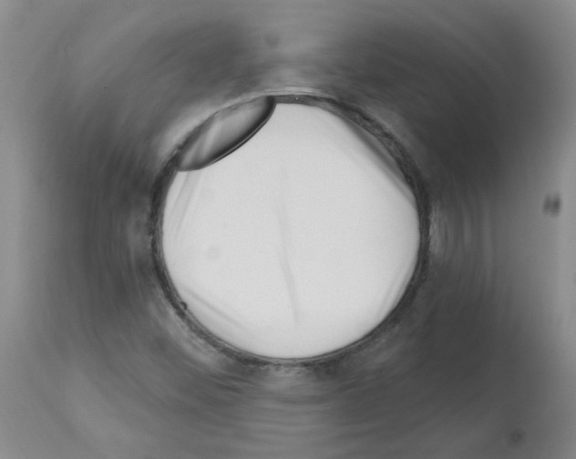 X0000112741452200910011210