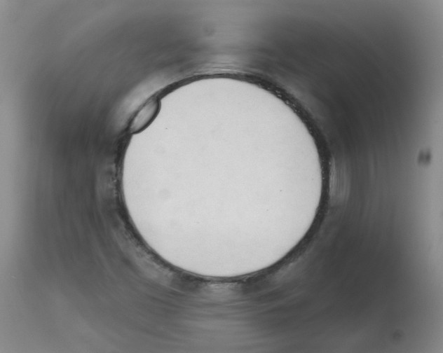 X0000112741453200910011210