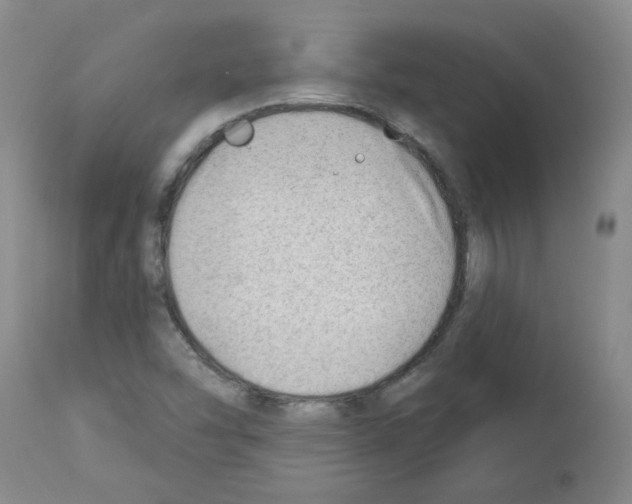 X0000112741454200910011210