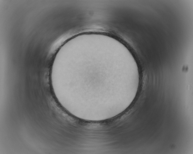 X0000112741455200910011210