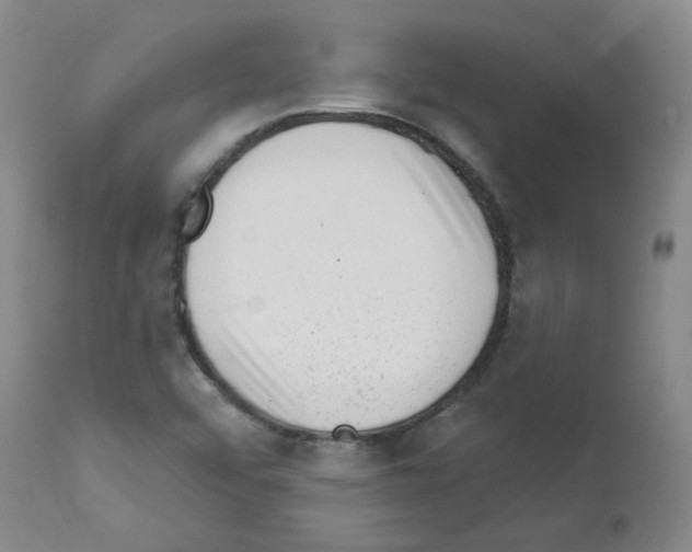 X0000112741456200910011210