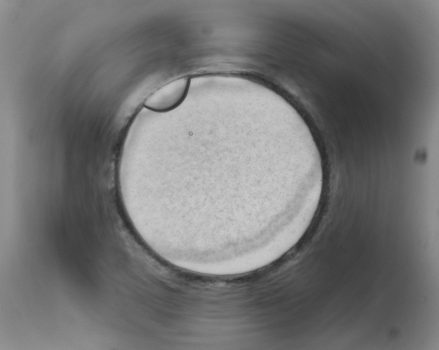 X0000112741459200910011209