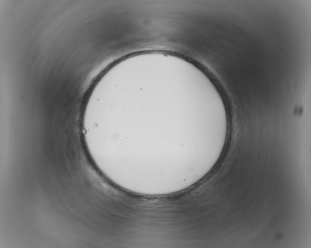 X0000112741460200910011209